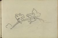 Page of a sketchbook - blank page (recto)