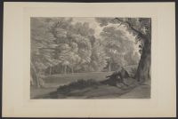 Wooded view
