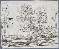 Page in an album