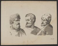 Three male portrait studies