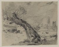 Landscape with pollard willow