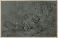 Striped hyena fighting two dogs