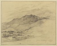 Page of an album