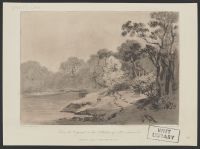 Waterside landscape