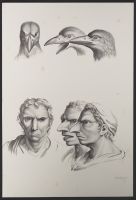 Three male human heads and three bird heads