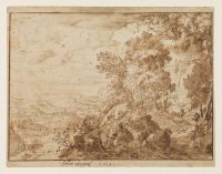 Hill landscape