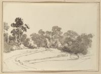 Page of an album
