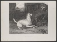 The Intruder