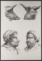 Two male human heads and two pig or boar heads