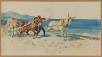 Man driving a horse and ass harnessed to a cart
