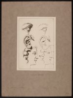 Studies of eyes and ears