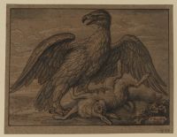 Eagle and hare