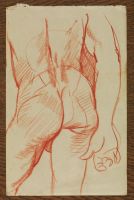 Male nude, back-view (recto and verso)