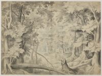 Interior of a wood with a small lake
