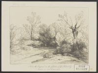 Landscape with Tree and Path