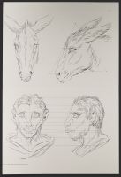Two male human heads and two donkey heads