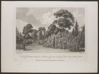 View of the Flower Garden at Nuneham, from the Temple of Flora  to the Statue of Hebe
