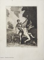 Venus and Adonis