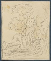 Page in an album