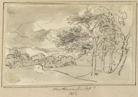Page of an album