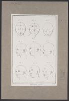 Ovals - heads (Ovales)