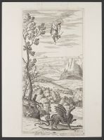 Apollo slaying Python (Plate 12)