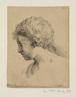 Head of a Young Boy, in profile