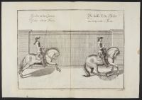 Two equestrian studies - passade at full speed and right volte