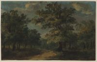 Wooded landscape (recto)