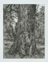 After Constable's Elm