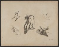 Studies of hands