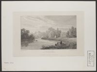 The Willows