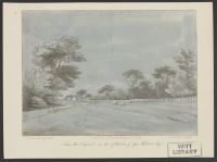 Landscape with Animals in an Open Field