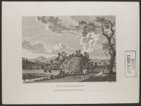 Shaen Castle, Queens County Ireland