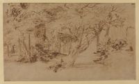 Woodland study