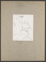 Erminia