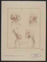 Grotesque Portraits in Profile