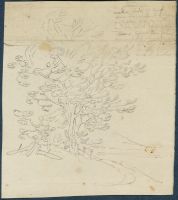 Page in an album