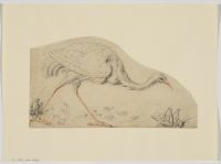 Crane, frog and grasshopper