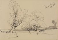 Landscape with large trees