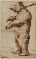 A Chained Bear