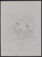 Infant Jupiter, The