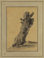 Tree stump
