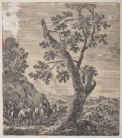 View of Rome and surrounding countryside