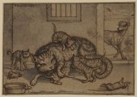 Cat and kittens