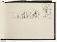 Line of trees
