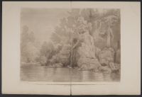 The Water Edge in a Woody Glen