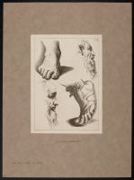 Studies of feet and a bearded man in profile