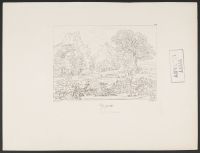Landscape (Paysage)