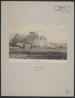 Rocella